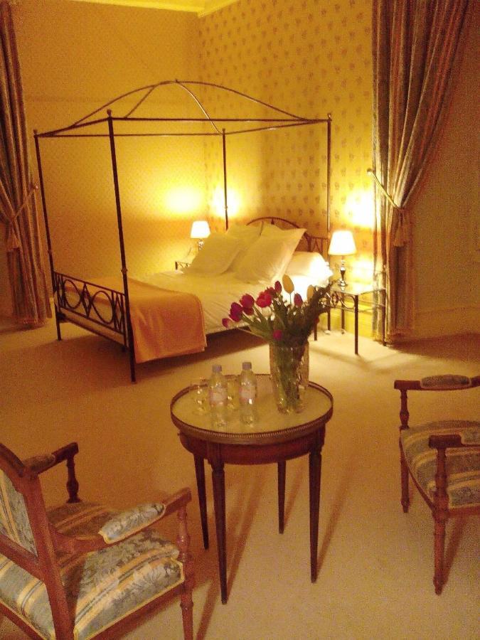 Chateau De Re Le Petit-Pressigny Екстер'єр фото