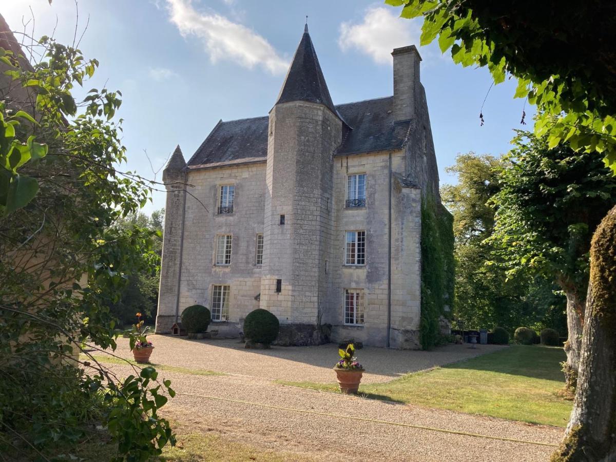 Chateau De Re Le Petit-Pressigny Екстер'єр фото